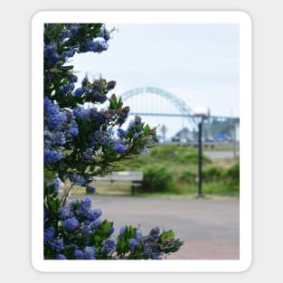 Newport Oregon Sticker